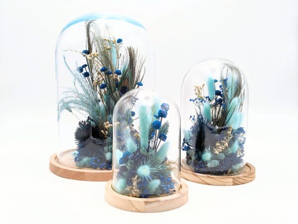 Cloche fleurs séchées bleues , fleurs séchées bleues sous cloche en verre avec un socle en bois, décoration en fleurs séchées sous verre, composé de lagurus broom, phalaris, plume de paon, chardon, glixia existe en trois tailles