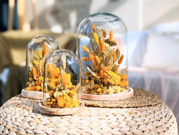 Cloche fleurs séchées jaunes, fleurs séchées jaunes sous cloche en verre avec un socle en bois, décoration en fleurs séchées sous verre, composé de lagurus broom, phalaris existe en trois tailles