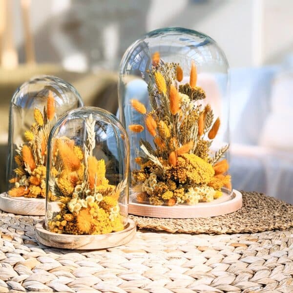 Cloche fleurs séchées jaunes, fleurs séchées jaunes sous cloche en verre avec un socle en bois, décoration en fleurs séchées sous verre, composé de lagurus broom, phalaris existe en trois tailles
