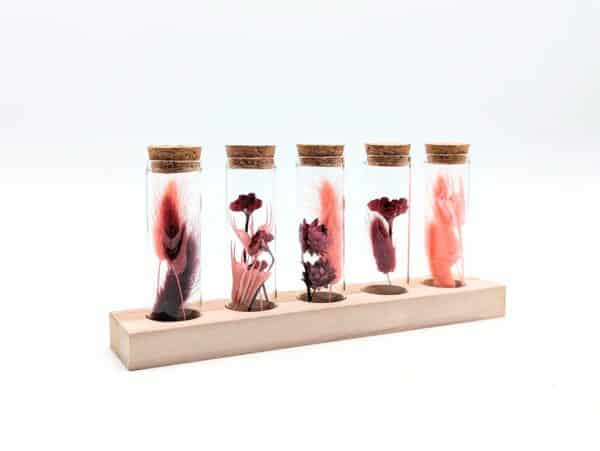 Eprouvette fleurs séchées rouge grenat, 5 petits tubes en verre avec fleurs séchées à l'intérieur sur support en bois, fiole en verre avec bouchon en liège