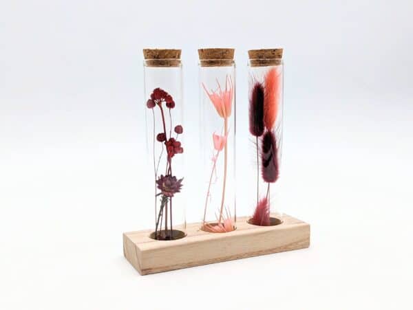 Eprouvette fleurs séchées rouge grenat, 3 petits tubes en verre avec fleurs séchées à l'intérieur sur support en bois, fiole en verre avec bouchon en liège