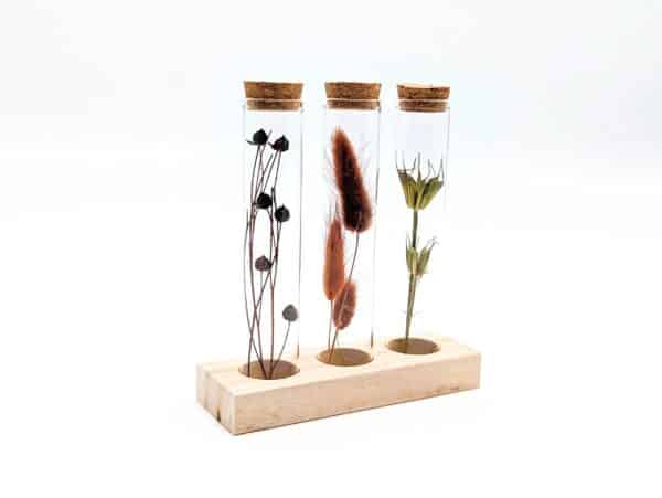 Eprouvette fleurs séchées terra cotta, 3 petits tubes en verre avec fleurs séchées à l'intérieur sur support en bois, fiole en verre avec bouchon en liège