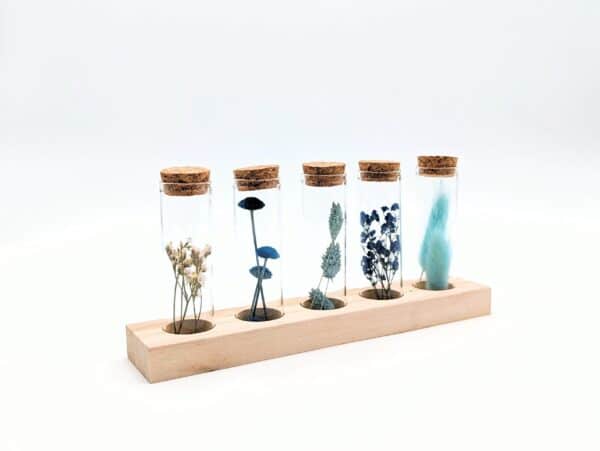 Eprouvette fleurs séchées bleues, 5 petits tubes en verre avec fleurs séchées à l'intérieur sur support en bois, fiole en verre avec bouchon en liège