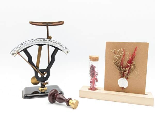 porte carte, porte phot, carte fleurs séchées, souvenir, idée cadeau