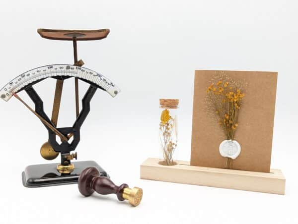 porte carte, porte phot, carte fleurs séchées, souvenir, idée cadeau