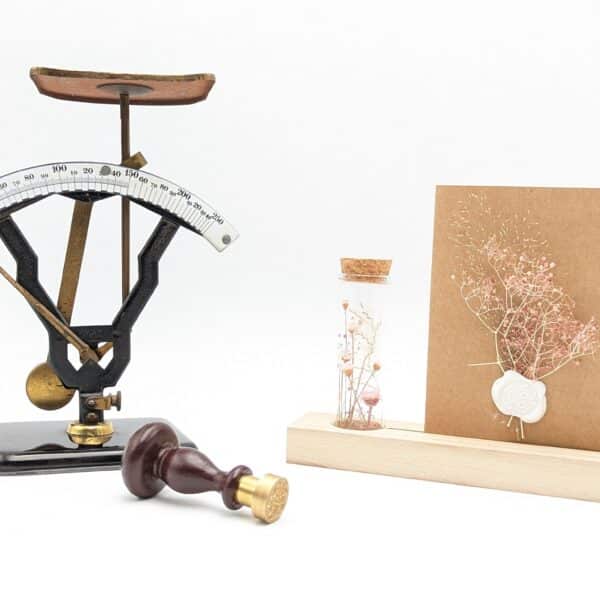 porte carte, porte phot, carte fleurs séchées, souvenir, idée cadeau
