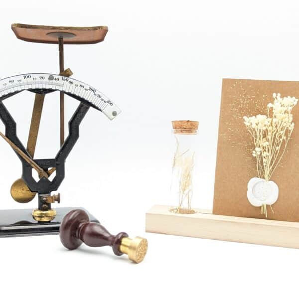 porte carte, porte phot, carte fleurs séchées, souvenir, idée cadeau