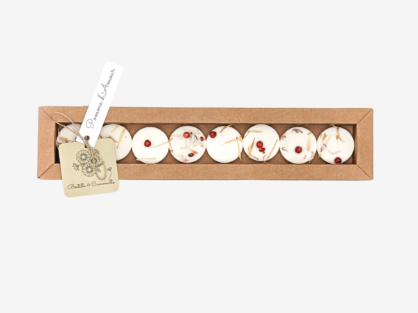 Découvrez nos boîtes de Fondants Parfumés senteur Pomme d'Amour. Parfum de Grasse, 100% cire végétale, coulés à la main et joliment décorés avec des fleurs séchées par Bertille dans notre atelier en Bourgogne.
